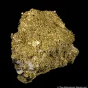 Gold - image 4
