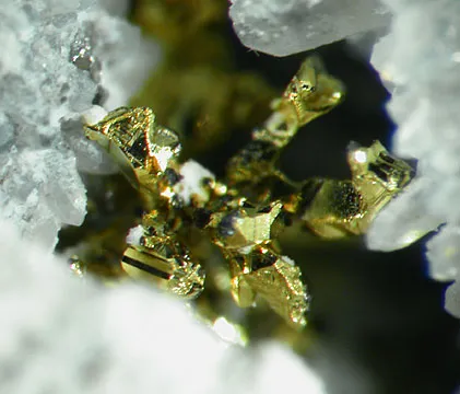 Gold - image 2