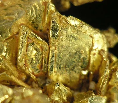 Gold - image 2