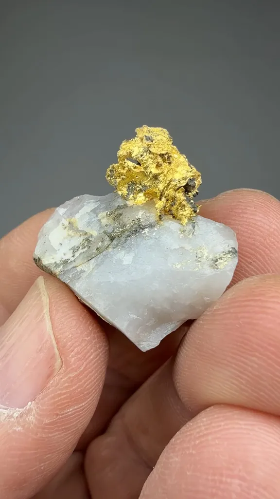 Gold (13.10g) image