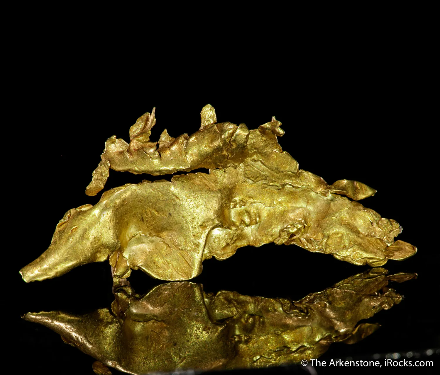 Gold - image 4