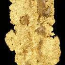 Gold - image 4