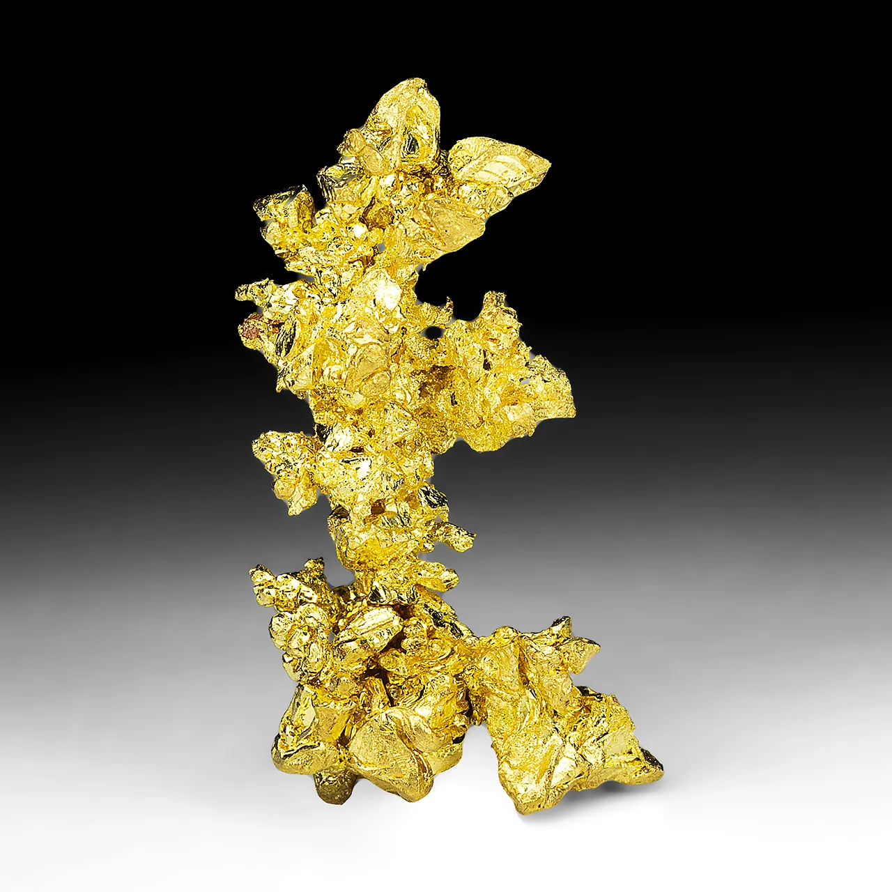 Gold (17.02g) - image 1