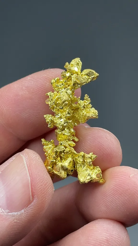 Gold (17.02g) - image 2