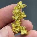 Gold (17.02g) - image 2