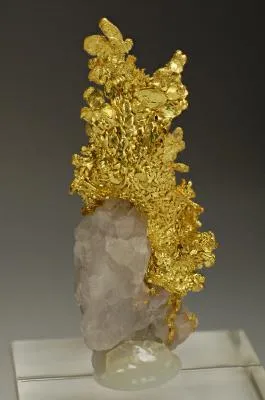 Gold - image 2