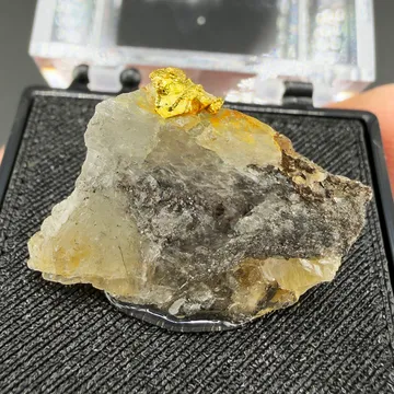 Gold