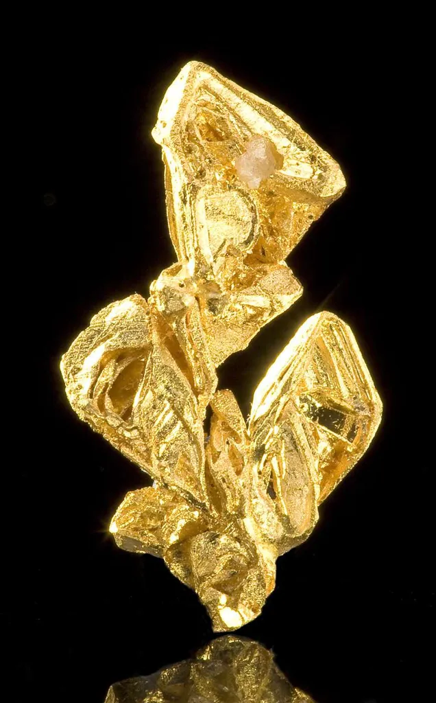 Gold image