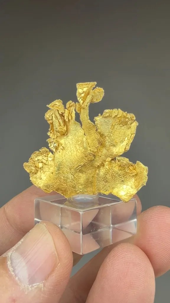 Gold - image 2
