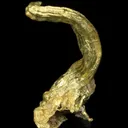 Gold - image 1