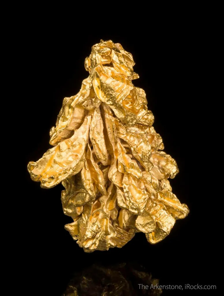 Gold - image 3