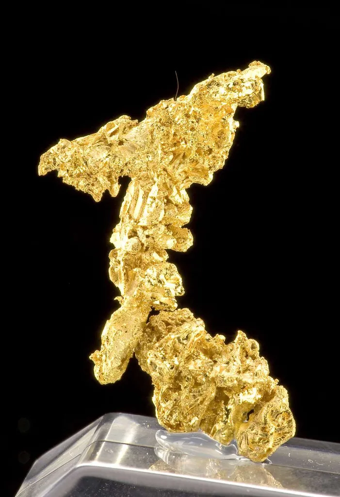 Gold image