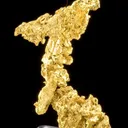 Gold - image 1