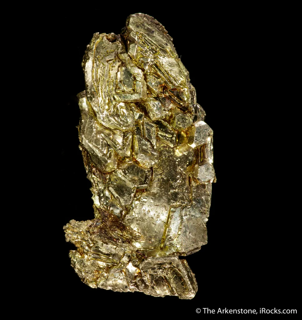 Gold - image 5