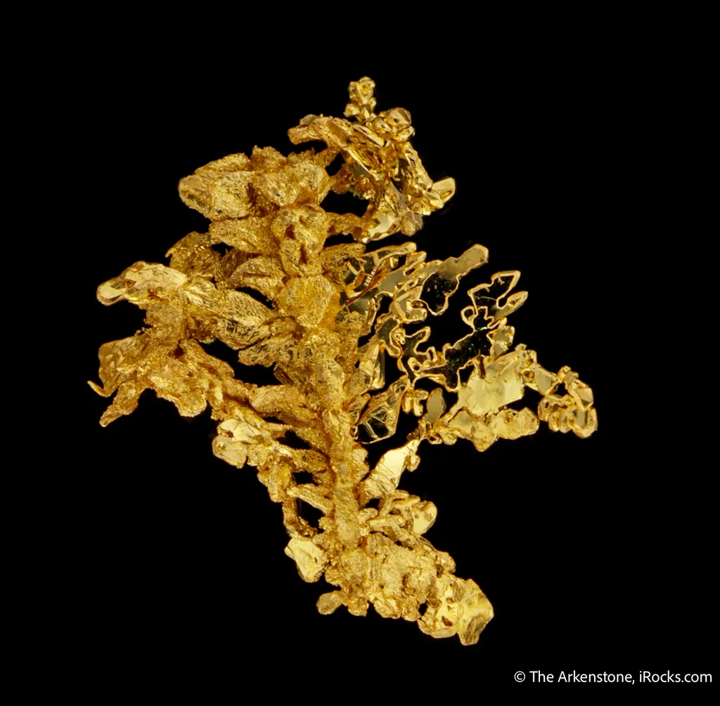 Gold image