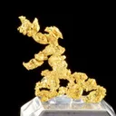 Gold - image 3