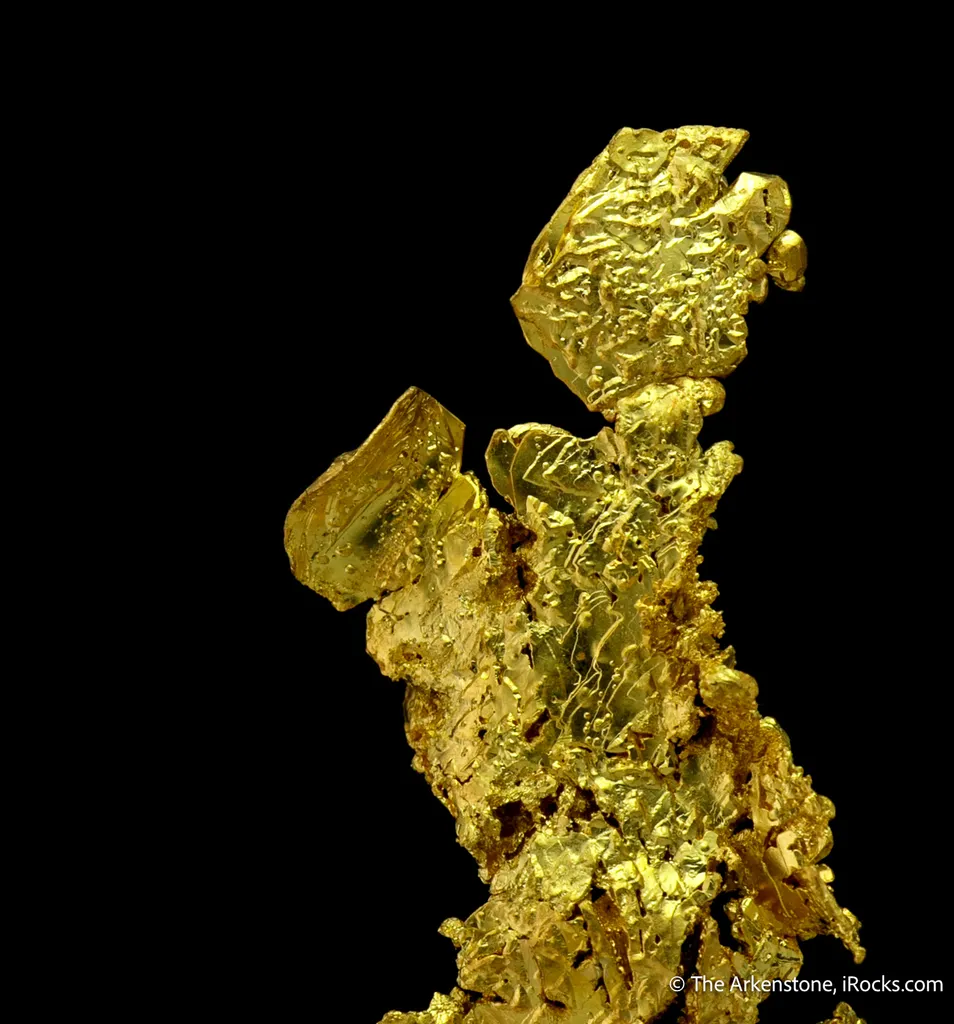 Gold image