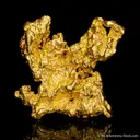 Gold - image 2