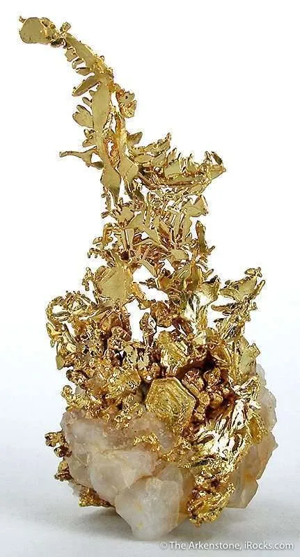 Gold image