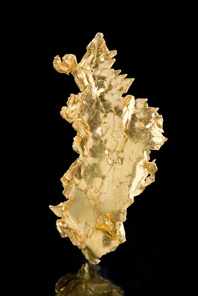 Gold - image 5