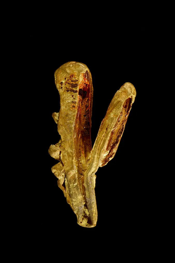 Gold image