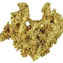 Gold - image 1