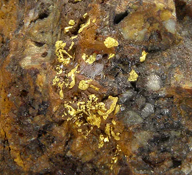 Gold - image 2