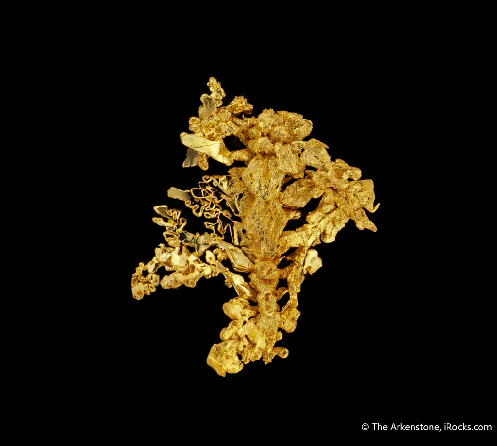 Gold - image 5