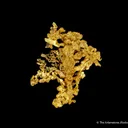 Gold - image 5