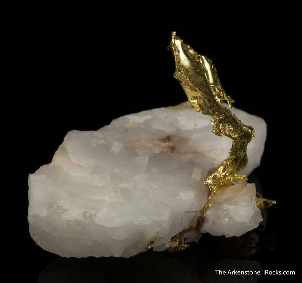 Gold - image 4
