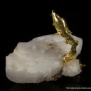 Gold - image 4