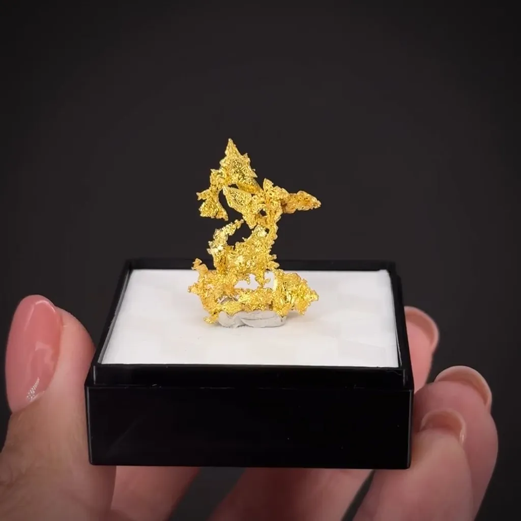 Gold - image 2