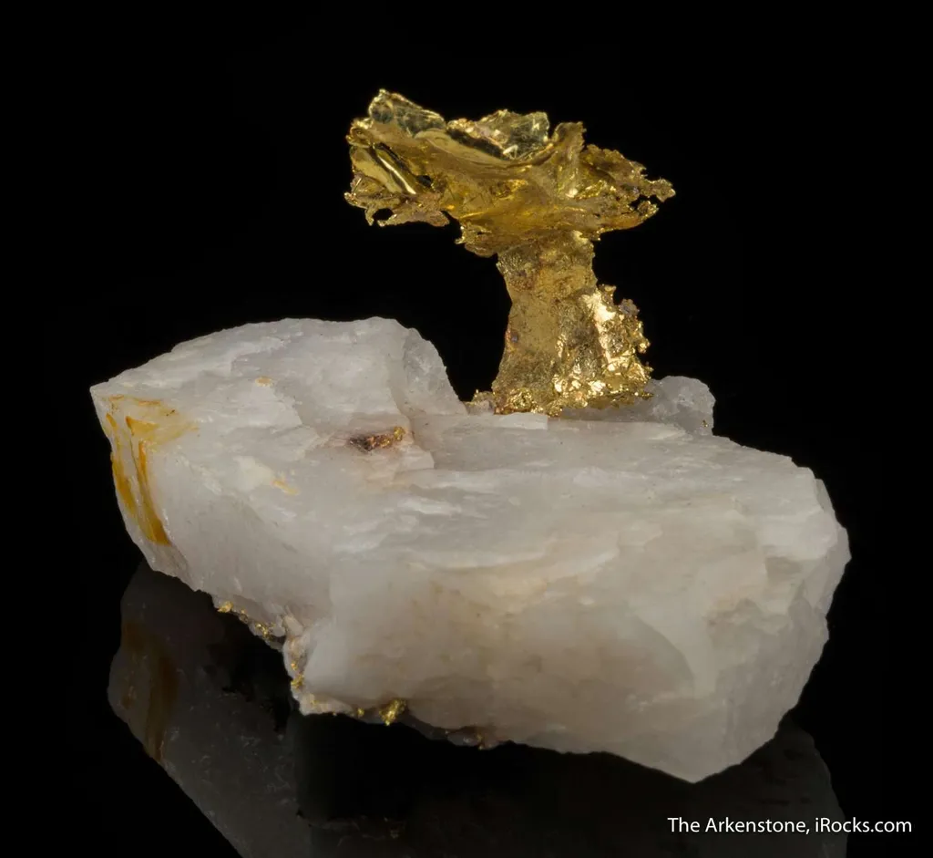Gold - image 5