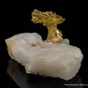 Gold - image 5