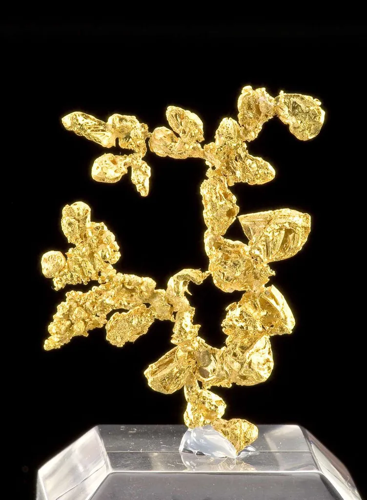 Gold - image 3
