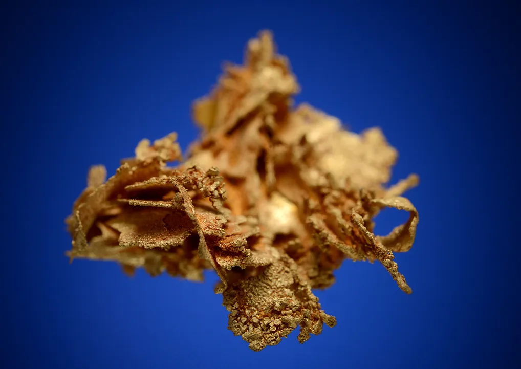 Gold - image 4