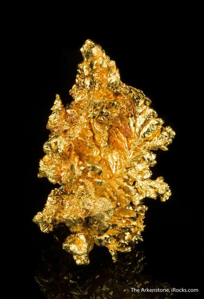 Gold image