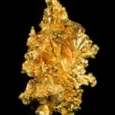 Gold - image 1
