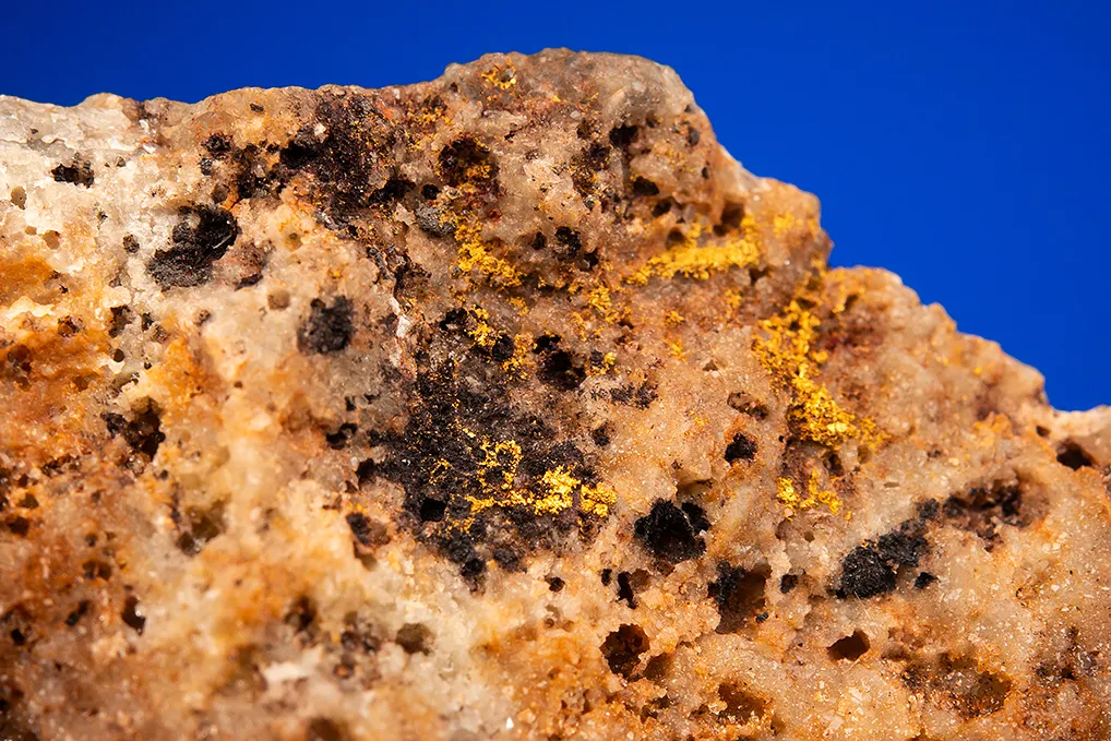 Gold - image 2