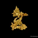 Gold - image 1