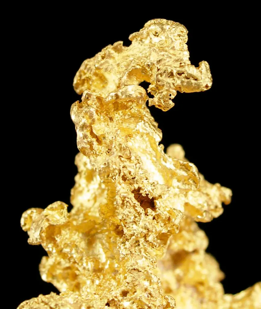Gold - image 4