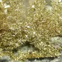 Gold - image 2
