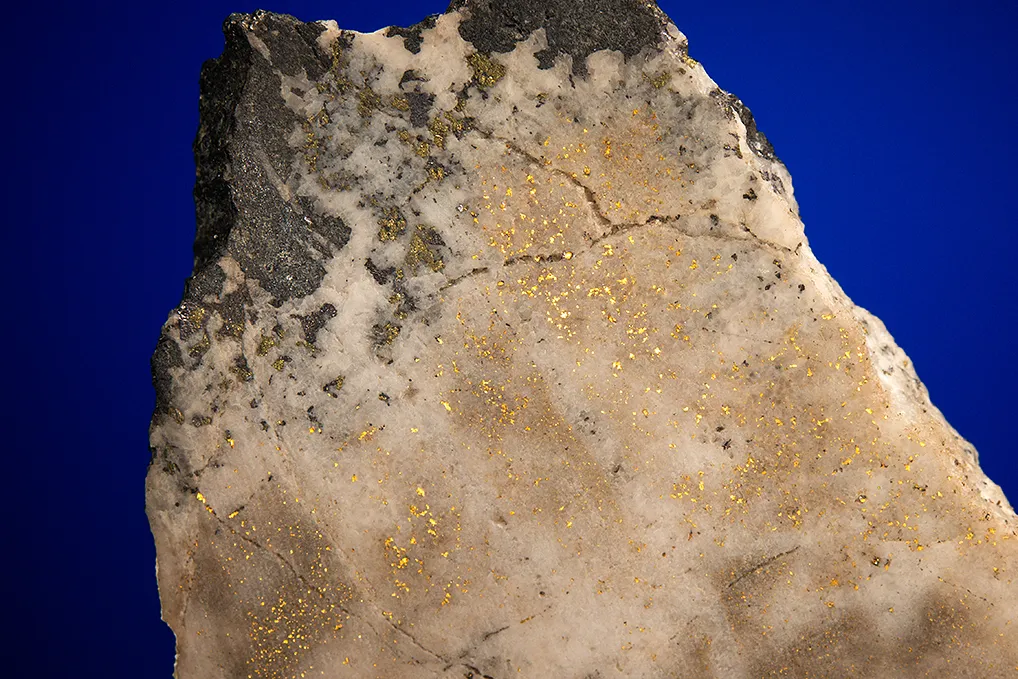 Gold - image 2
