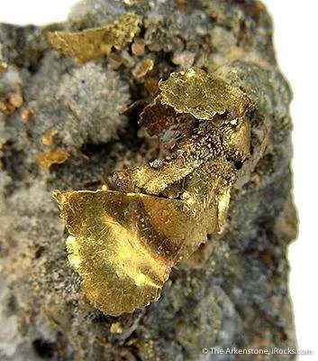 Gold - image 2