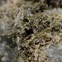 Gold - image 2
