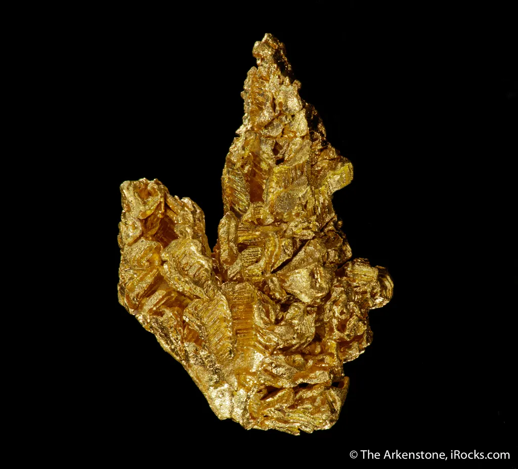 Gold - image 4