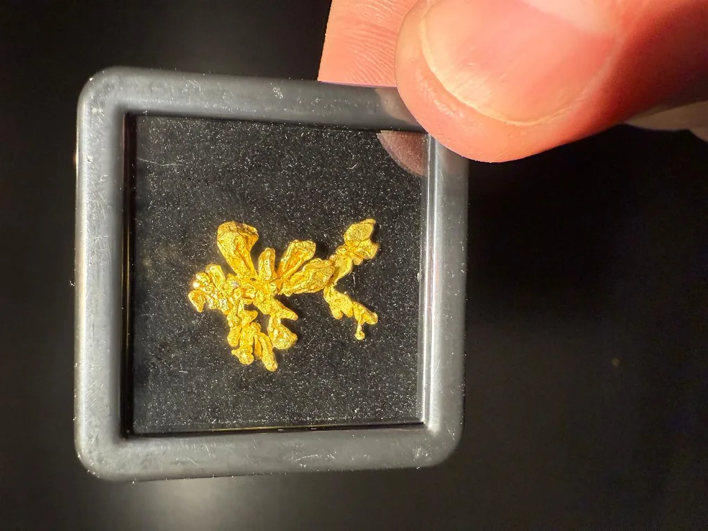 Gold image