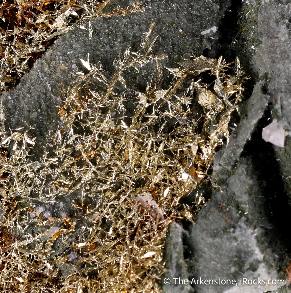 Gold - image 6