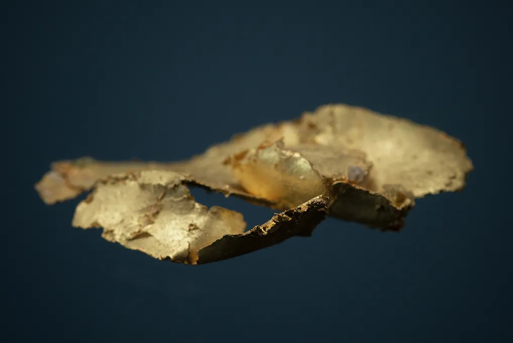 Gold - image 3