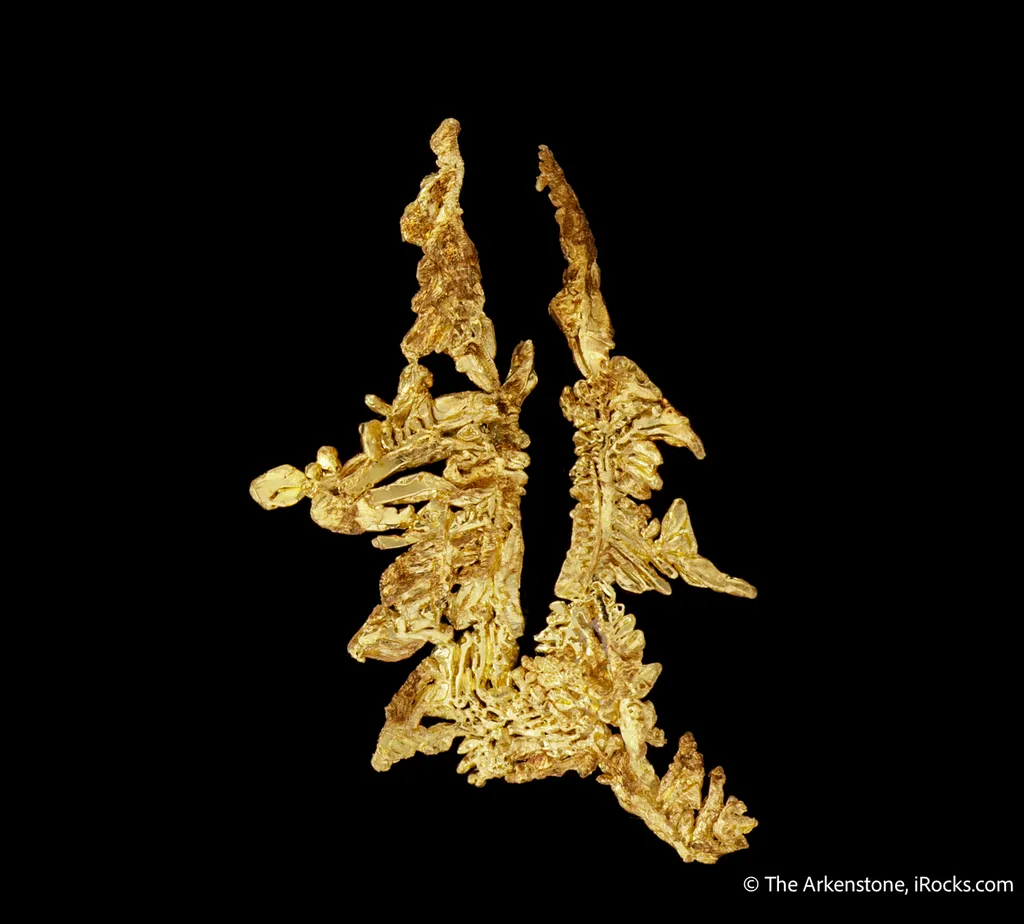 Gold - image 3